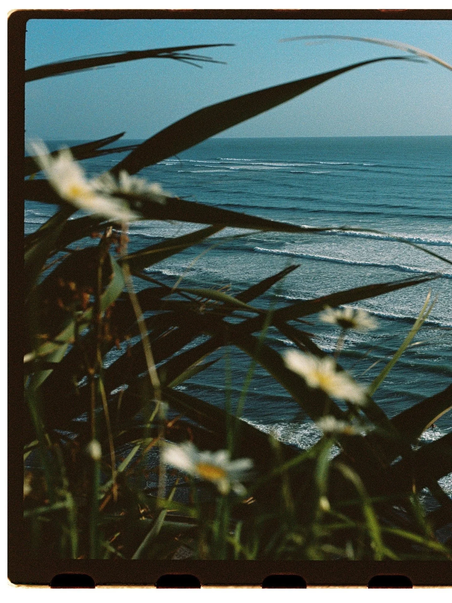 Postcards from a New Zealand road trip back in November 🎞️💭 #sheshootsfilm #filmisnotdead