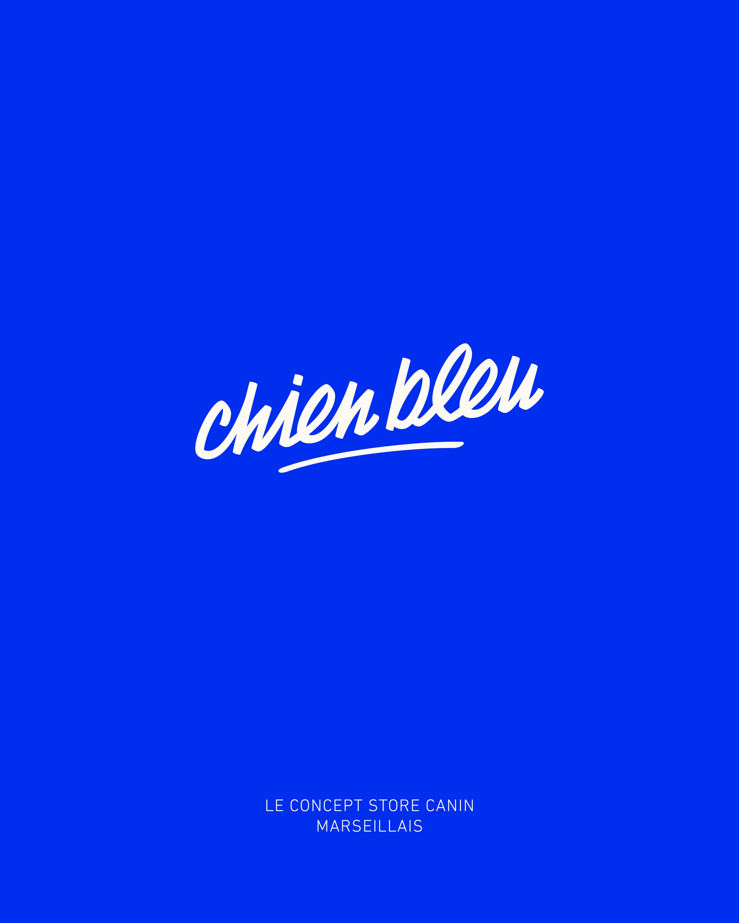Création d'un logo pour chien bleu sur une ligne, identité visuelle et branding à marseille pour un concept store canin 