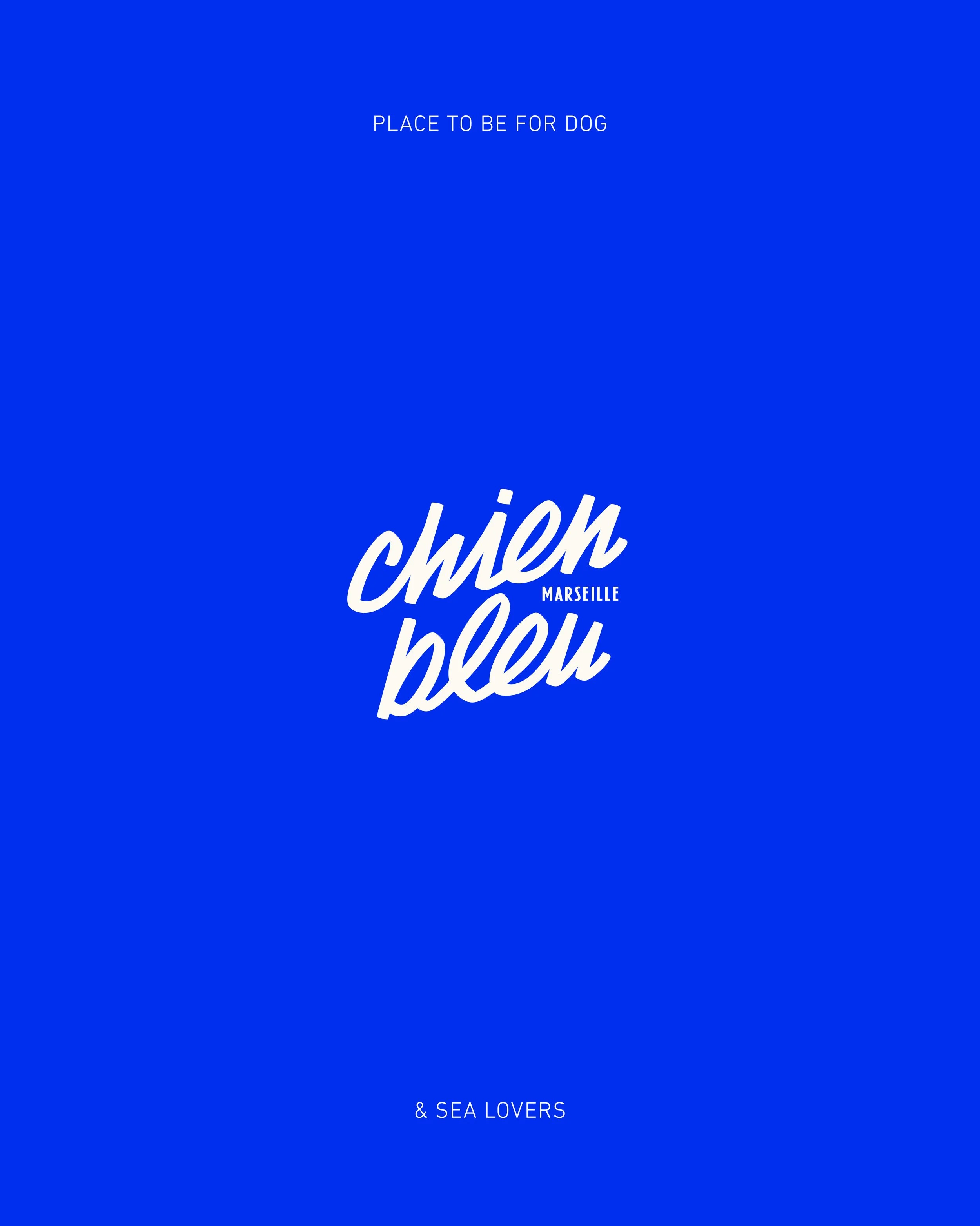 Création de logo et identité visuelle pour commerce à Marseille – agence de graphisme et branding Local Club. Logo Chien bleu sur un fond bleu