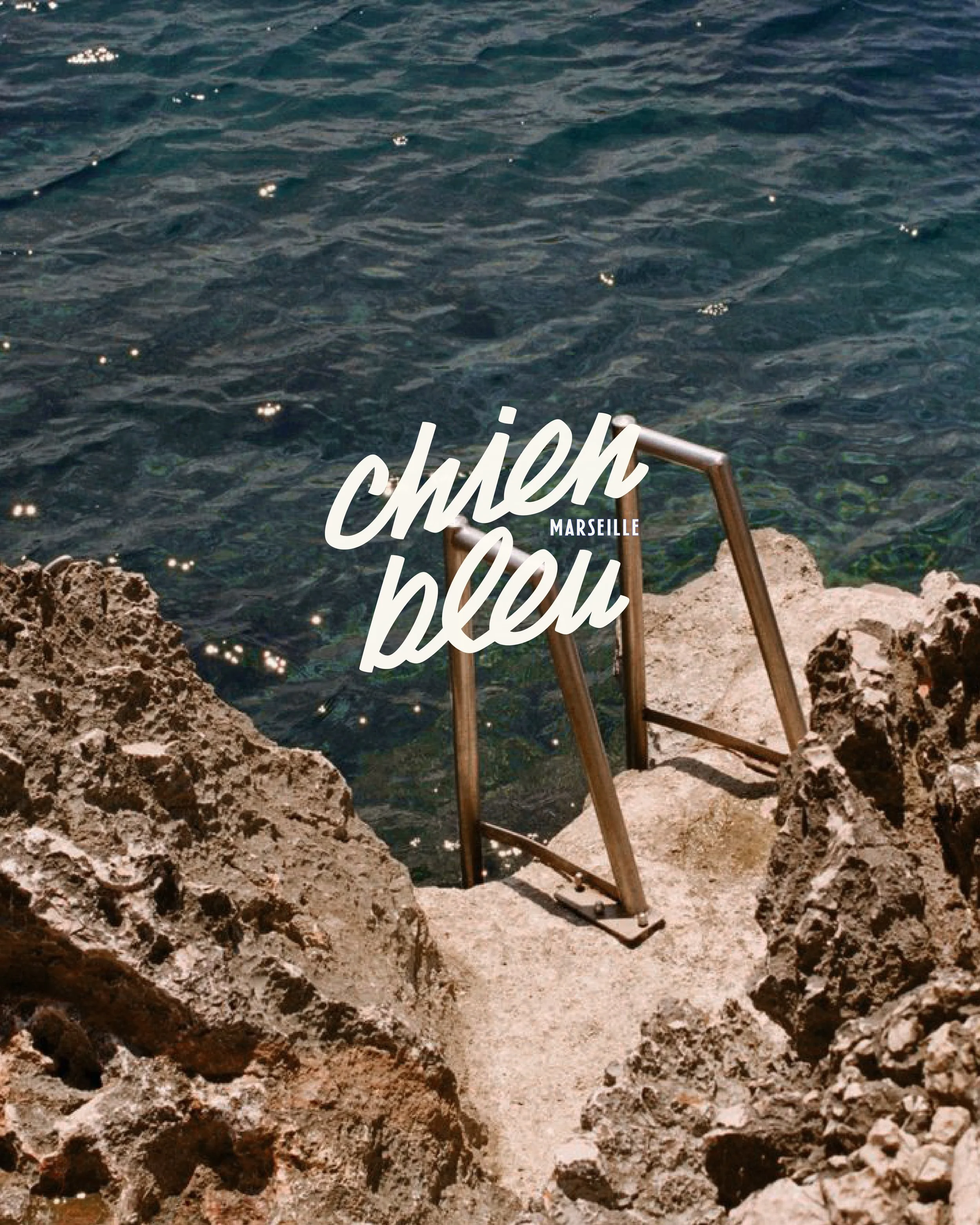 Logo sur fond mer – ancrage marseillais. Création d’enseigne et identité visuelle pour concept store canin à Marseille – projet d’architecture commerciale ERP par Local Club. 