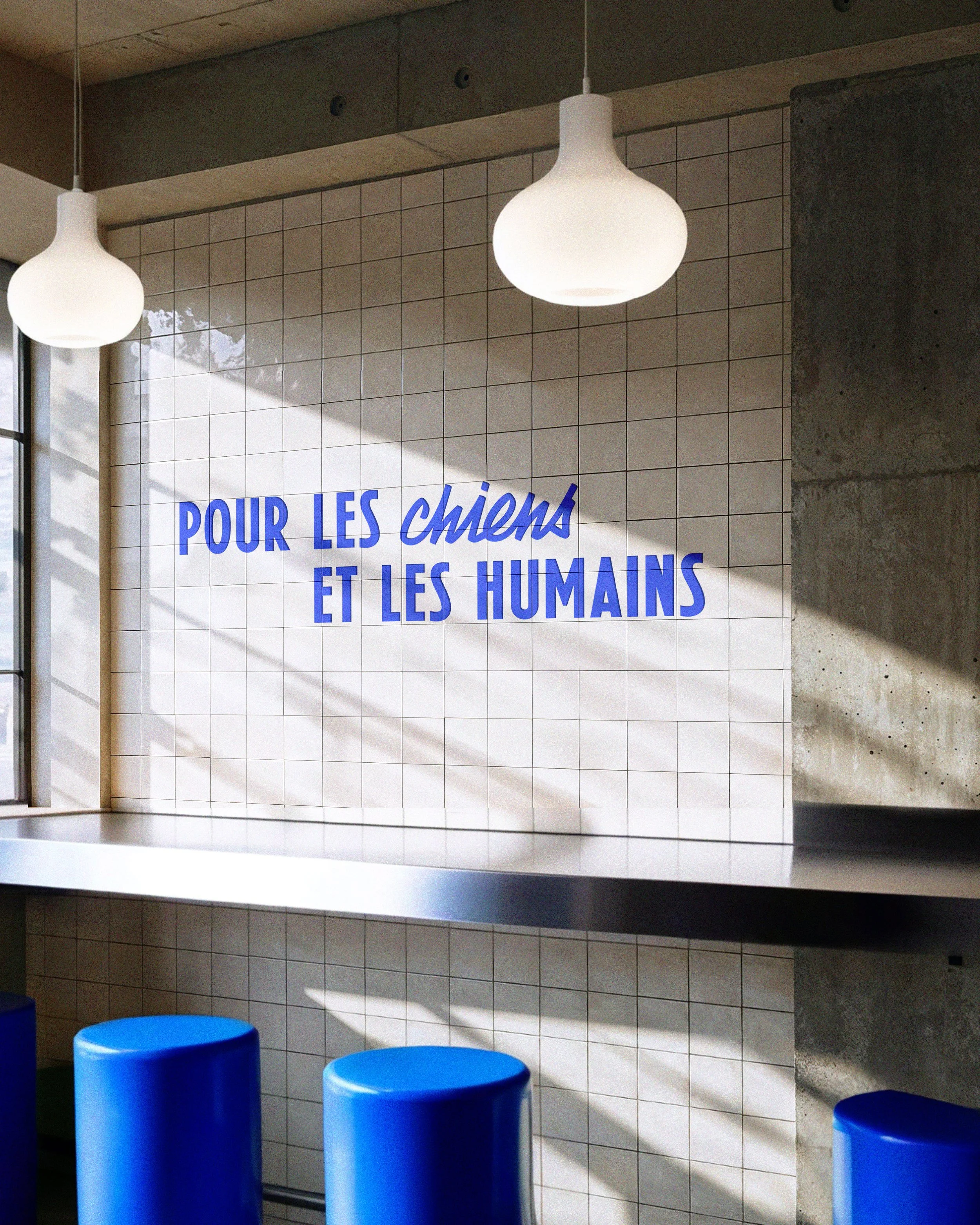 Création de signalétique et univers graphique pour concept store canin à Marseille. Intérieur d'un concept store canin avec phrase murale. 