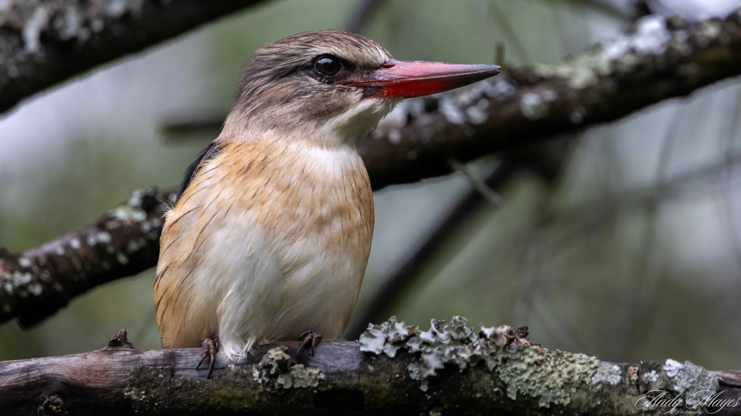 President Ridge - 2025-04-12 (129) pp (na).jpg