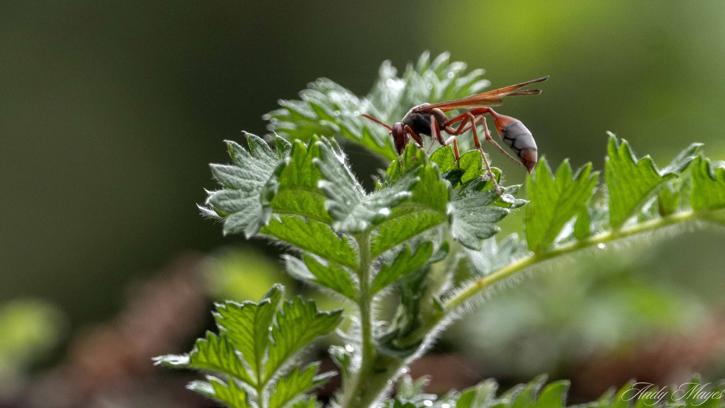 2025-12-15 (34) pp (na).jpg