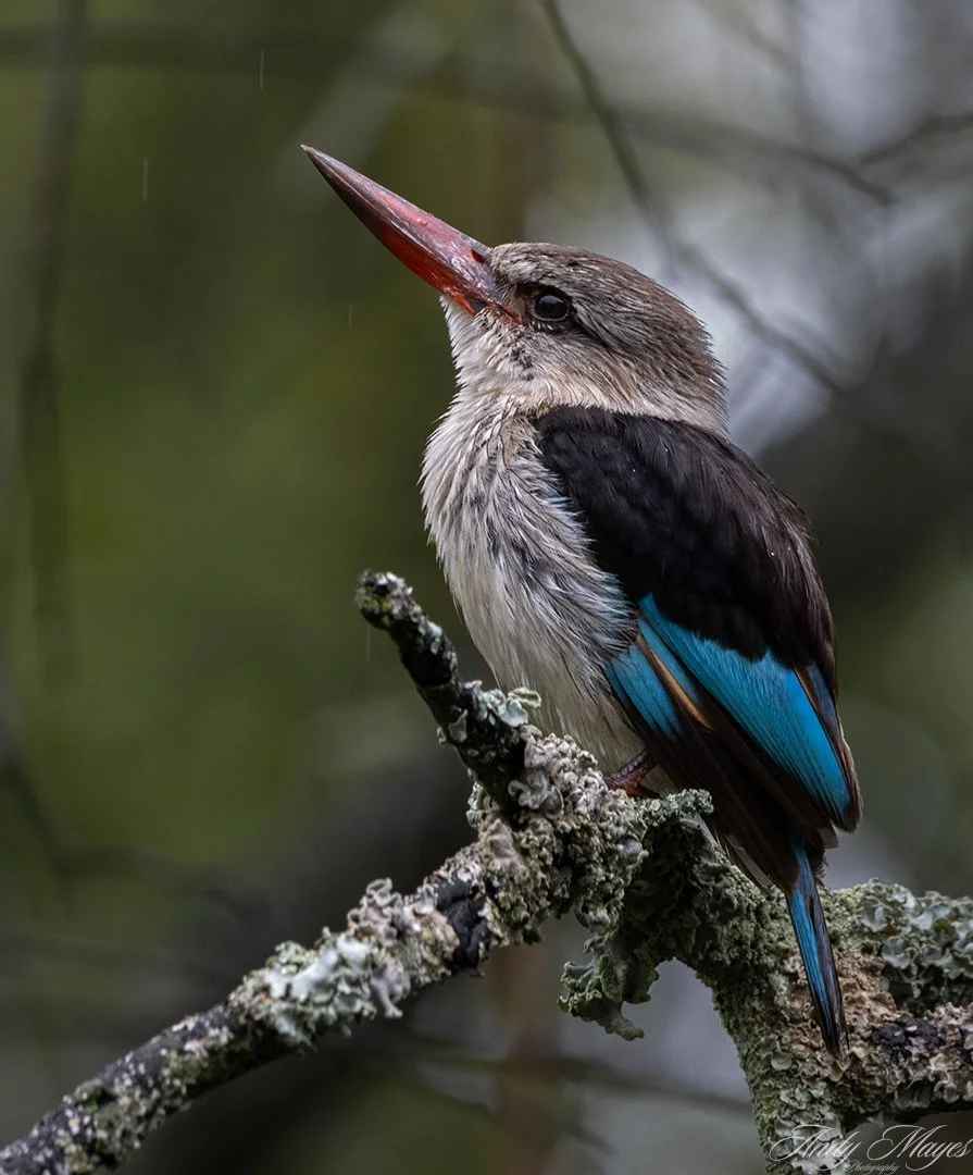 President Ridge - 2025-01-13 (243) pp (na).jpg