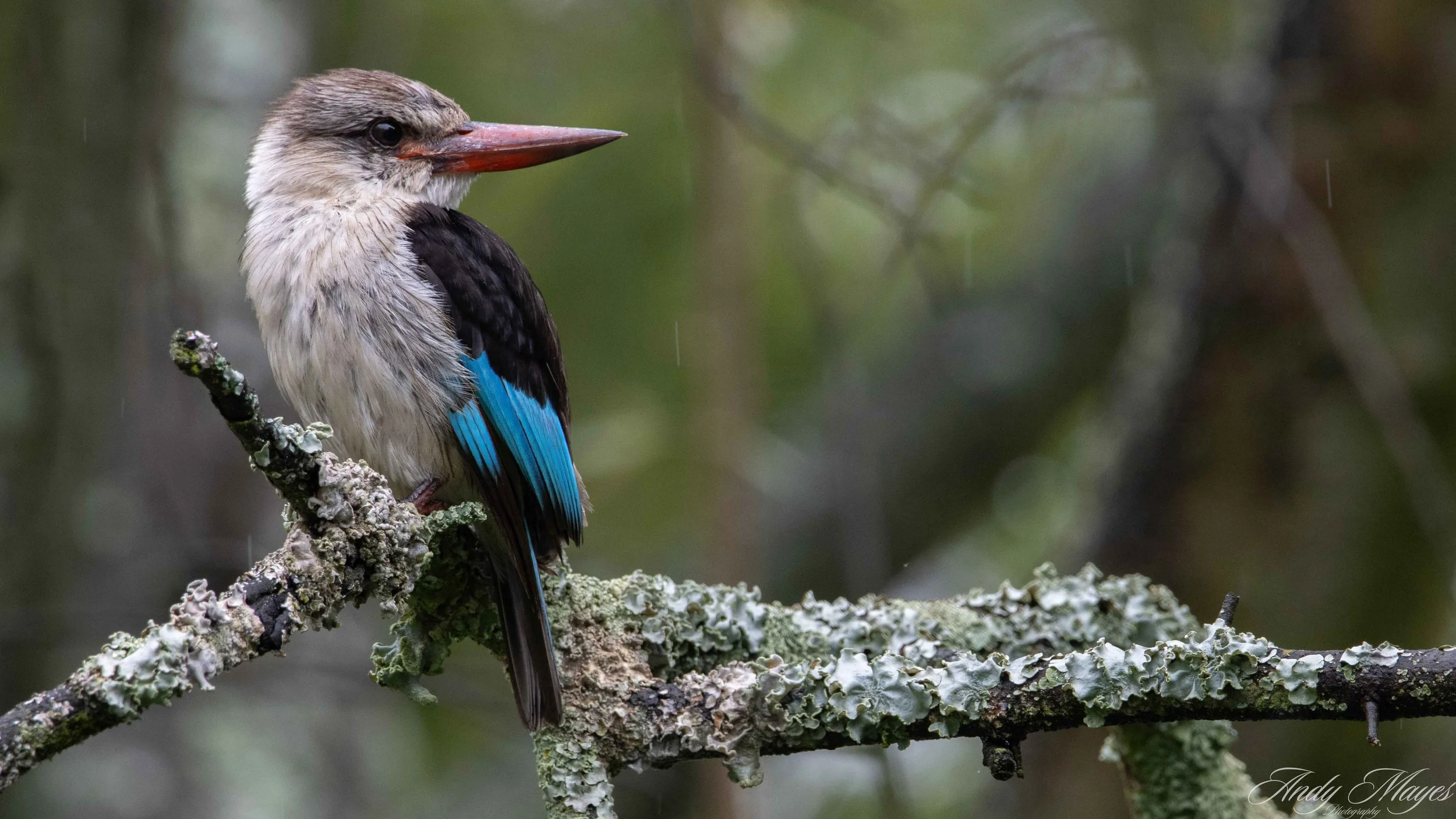 President Ridge - 2025-01-13 (311) pp (na).jpg