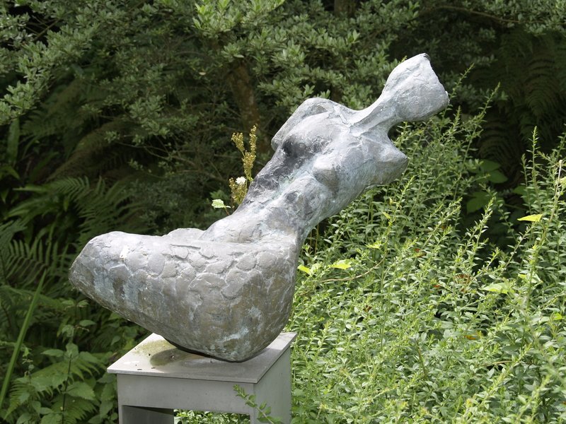 Torso