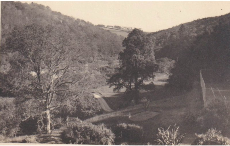 Vintage photograph of a serene landscape with trees, hills, and a pathway, conveying a peaceful countryside setting.