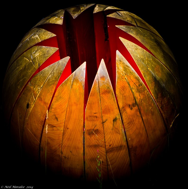 CAT 0203d - JOHNSEY, Rob - Organic form for a garden - Photo Credit to Neil Moralee.jpg