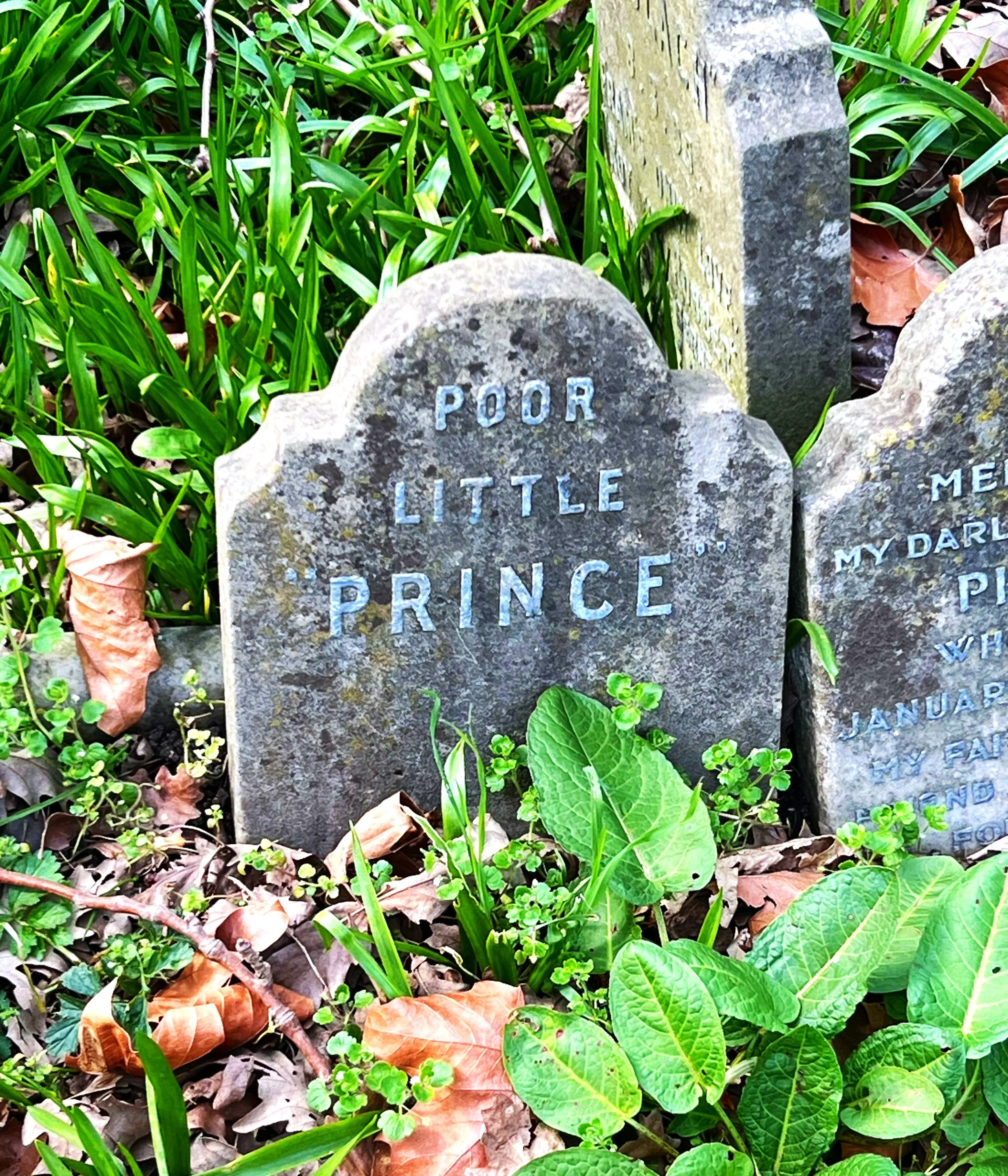 Pet Cemetery, Hyde Park, London