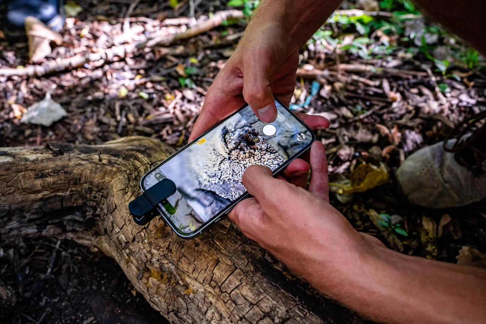 CTGA_MushroomWalk_080626_Keltner-12.jpg