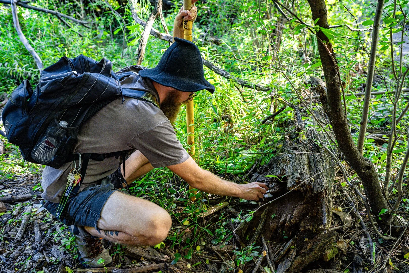 CTGA_MushroomWalk_080626_Keltner-28.jpg