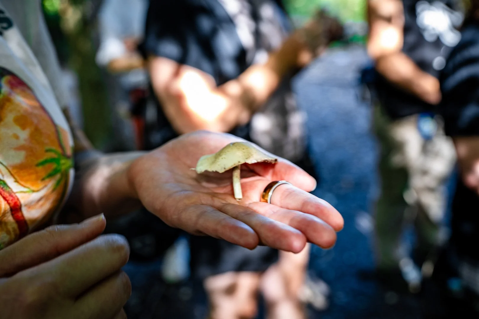CTGA_MushroomWalk_080626_Keltner-32.jpg