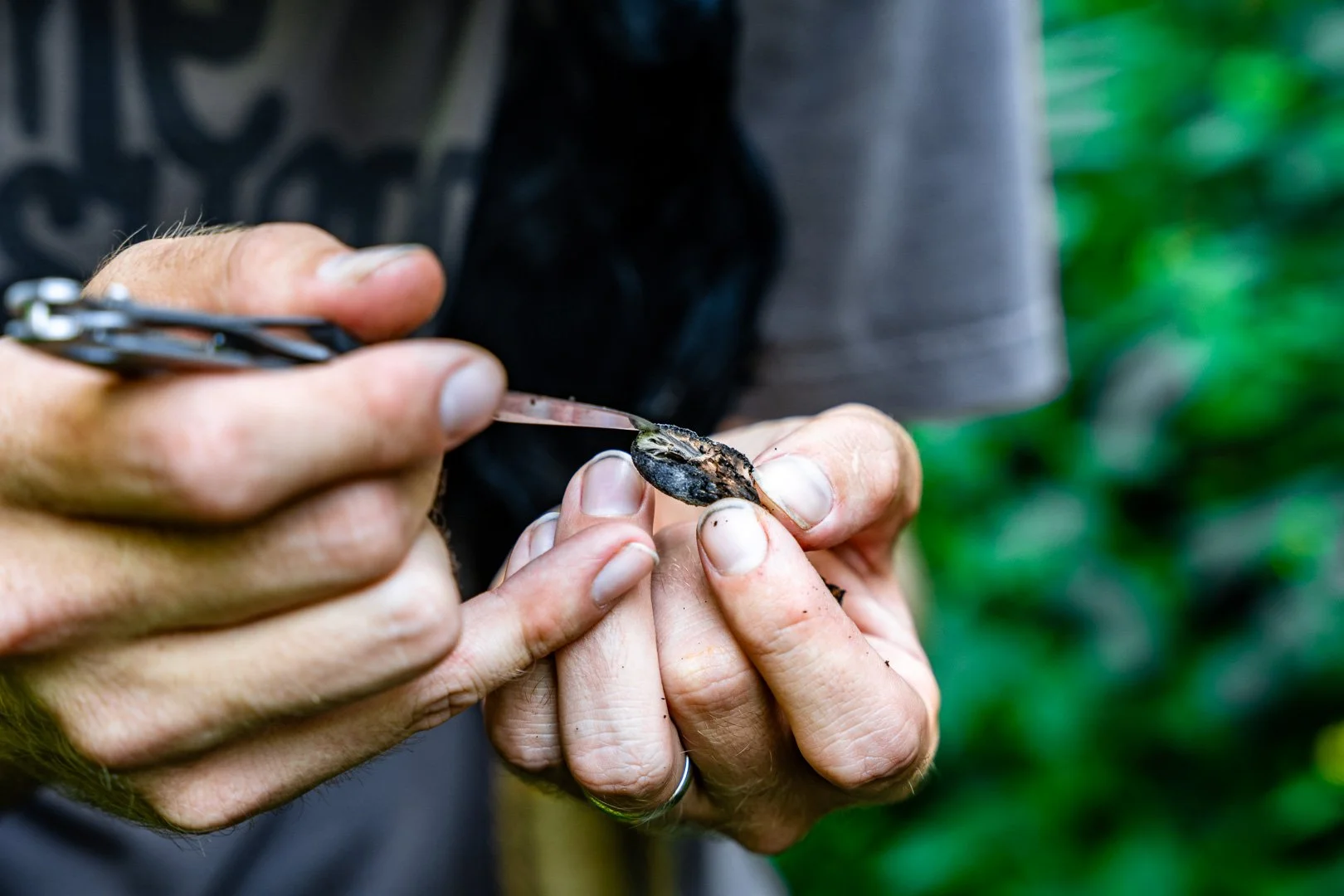 CTGA_MushroomWalk_080626_Keltner-68.jpg