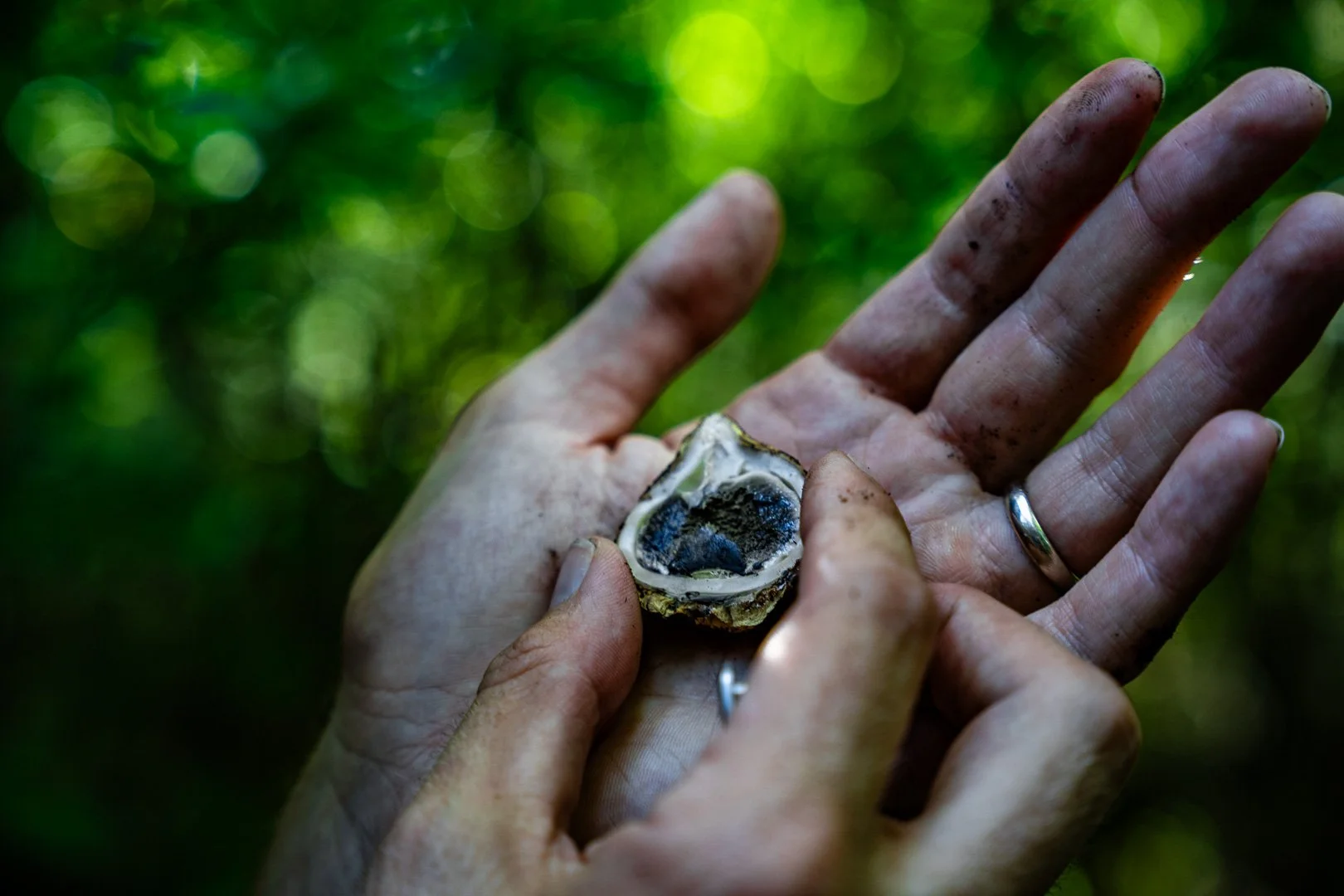 CTGA_MushroomWalk_080626_Keltner-78.jpg