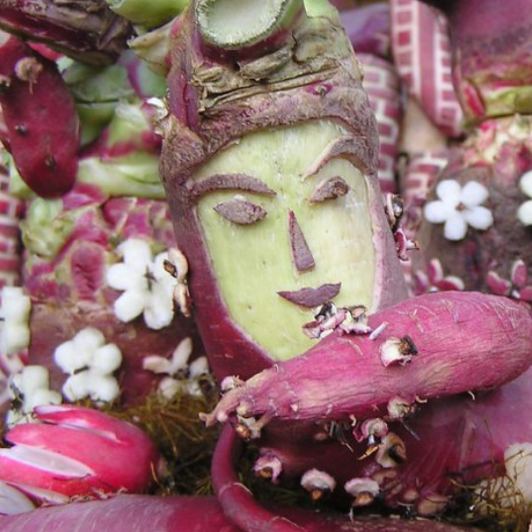 A carved radish face, from the Mexican festival: Night of the Radishes.