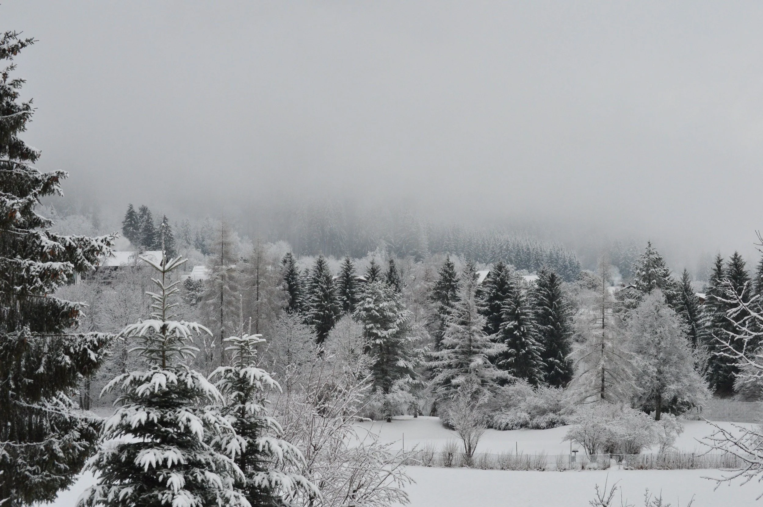 DSC_4952.jpg