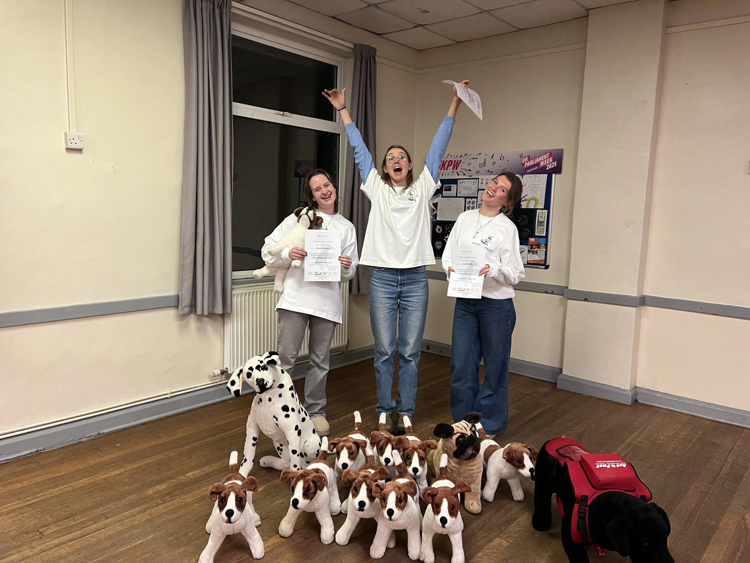 Dog First Aid Training