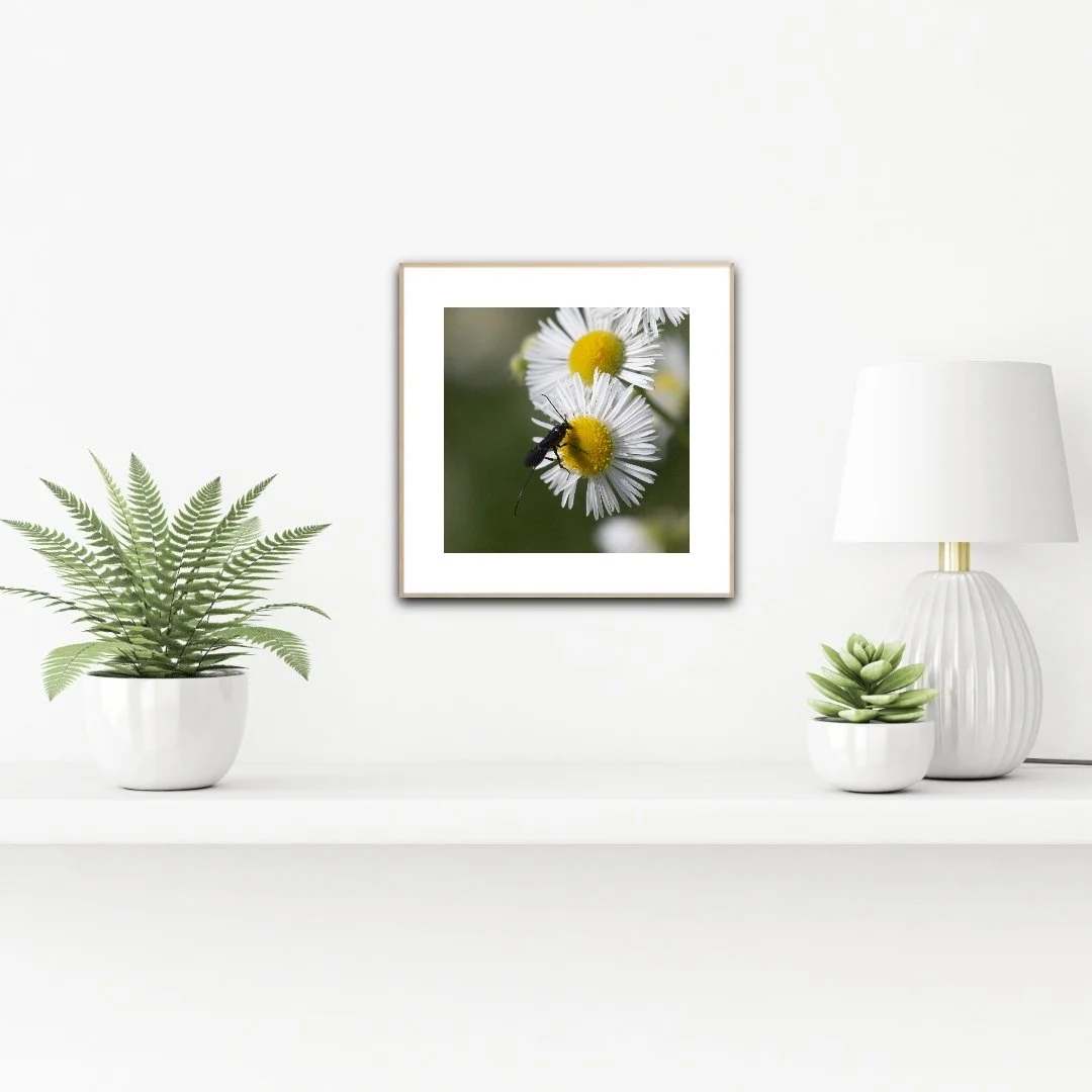 PH1093 staged insituartroom.jpg