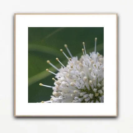 PH1098 framed insituartroom.jpg