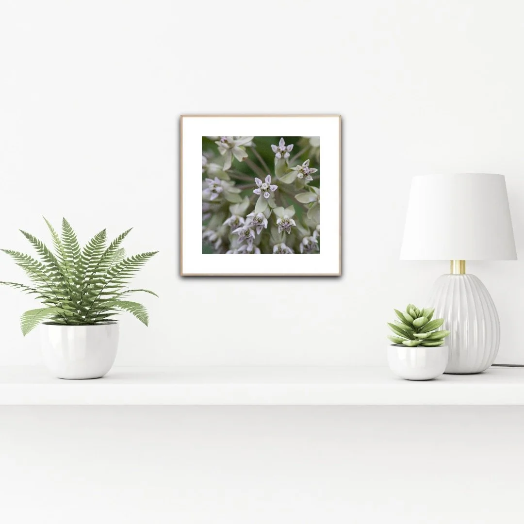 PH1084 staged insituartroom.jpg