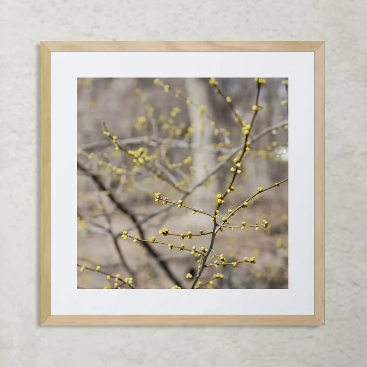 Artists side table with brushes and palette 16x16-EDIT.jpg