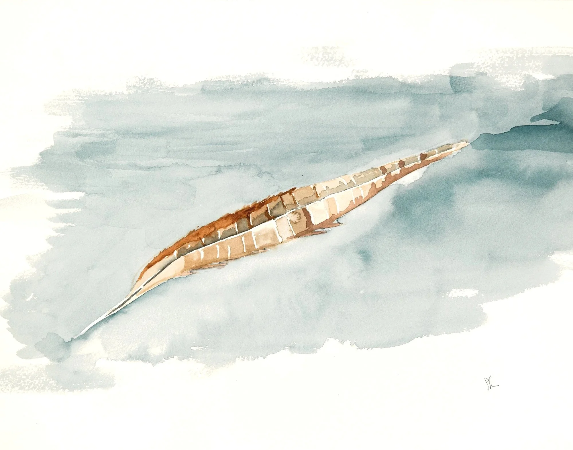 Watercolor painting of a brown and white feather on a blue-gray background.