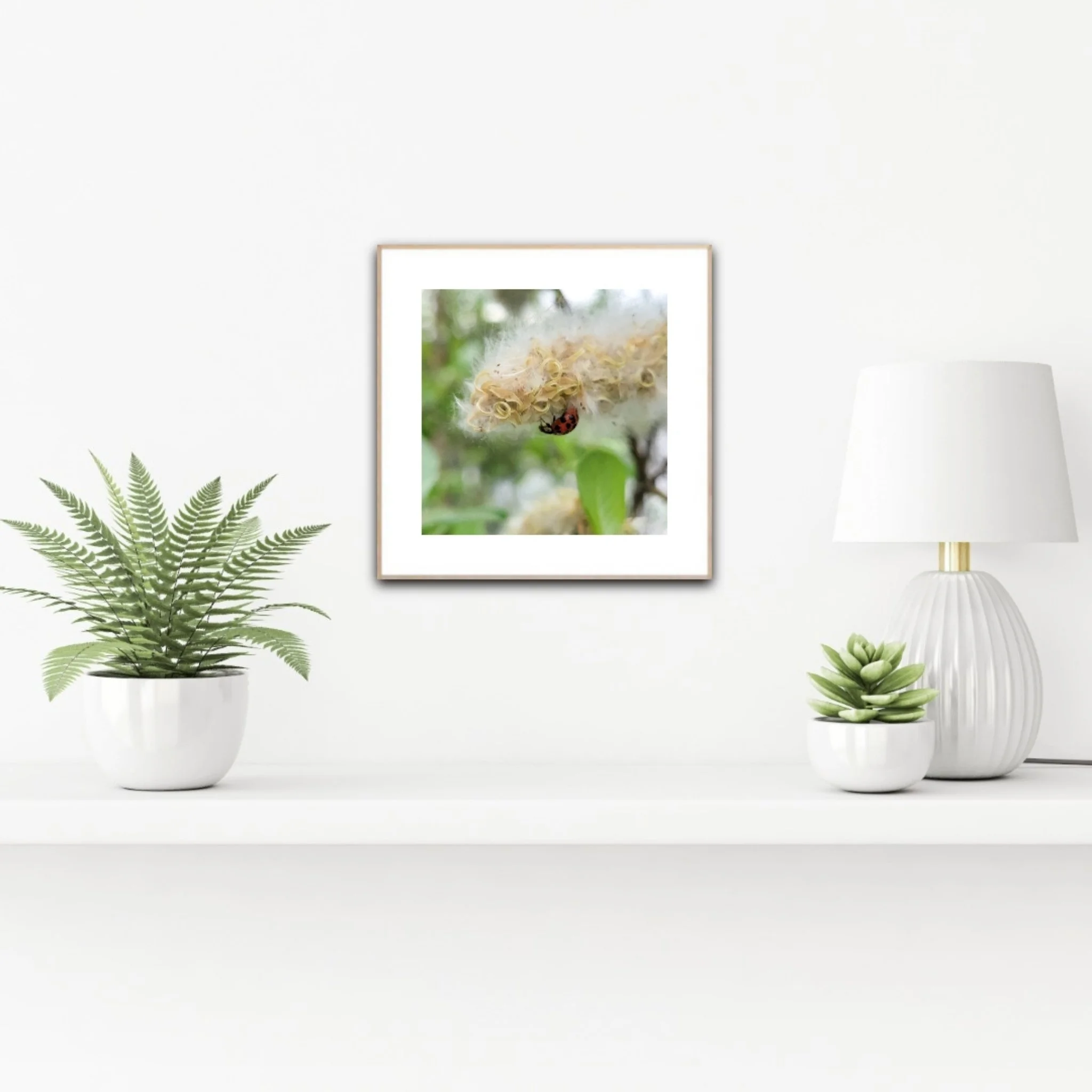 PH1124 staged insituartroom.jpg