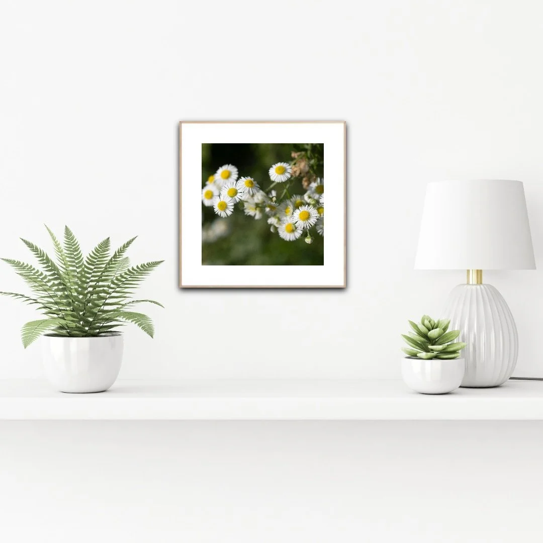 PH1094 staged insituartroom.jpg