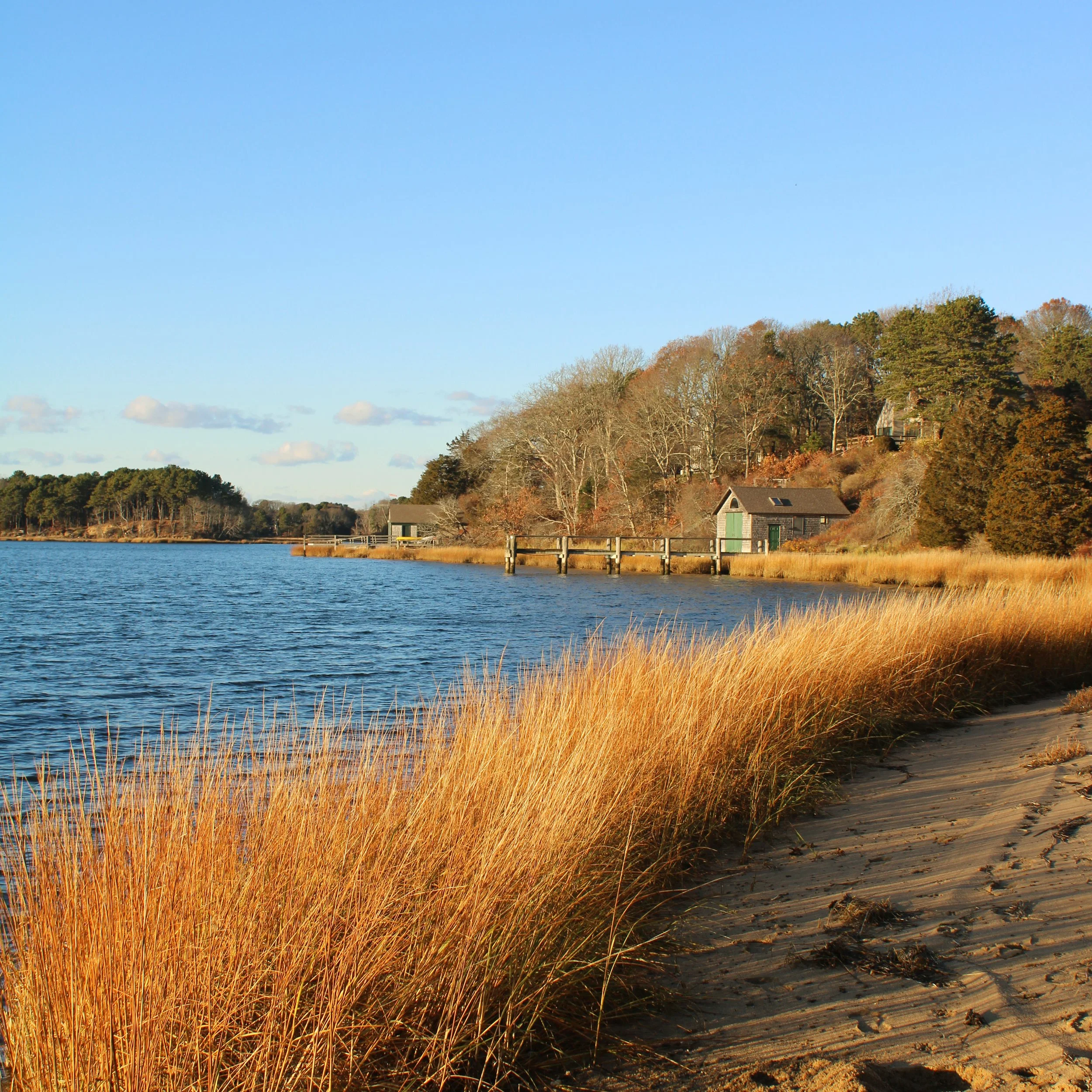 A serene seaside scene with golden-brown grass in the foreground, a calm body of water, and a hill with trees, some with fall foliage, in the background under a clear blue sky.