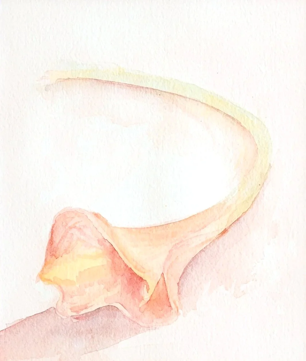 A watercolor painting of a human pelvis.