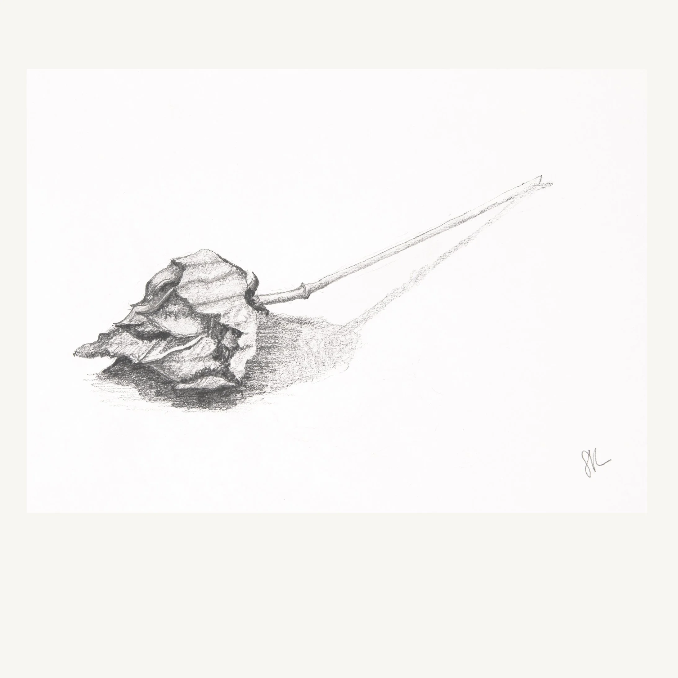 Dry Seed Pod Giclée Print, Matted or Framed