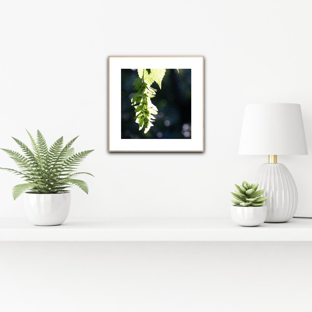 PH1087 staged insituartroom.jpg