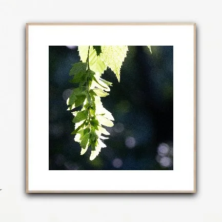 PH1087 framed insituartroom.jpg