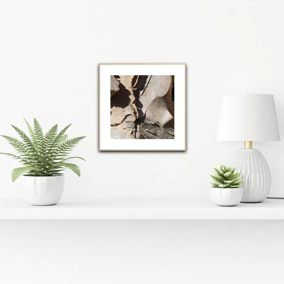 PH1115 staged insituartroom.jpg