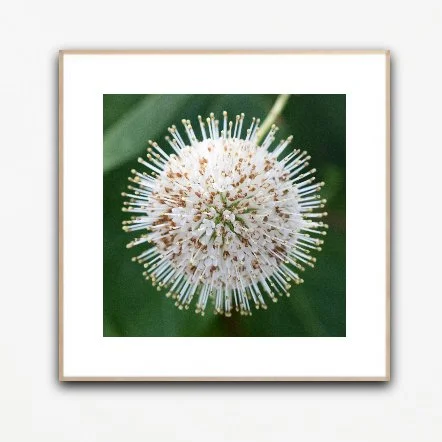 PH1097 framed insituartroom.jpg