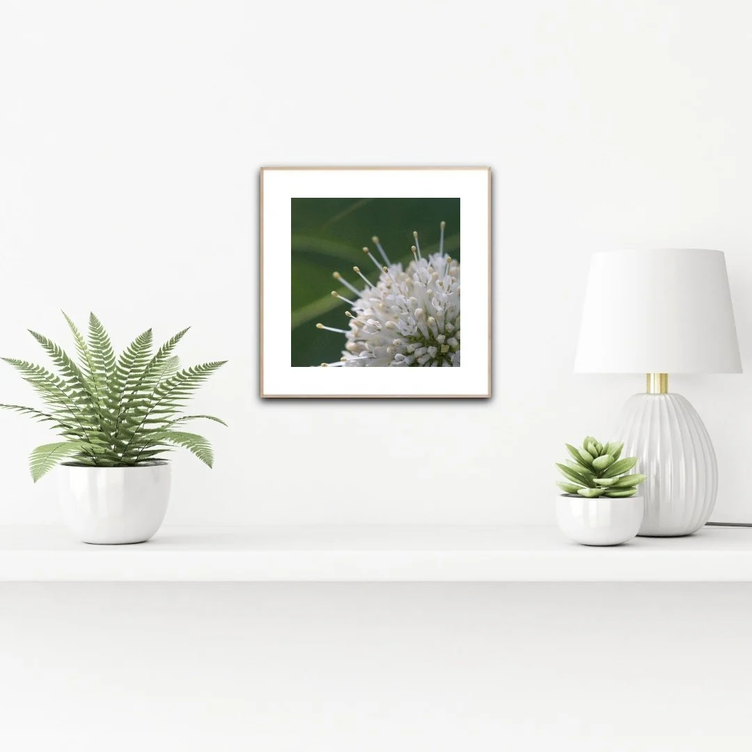 PH1098 staged insituartroom.jpg