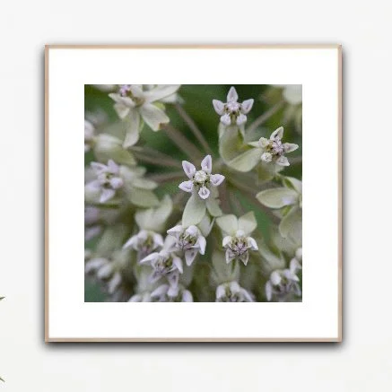 PH1084 framed insituartroom.jpg