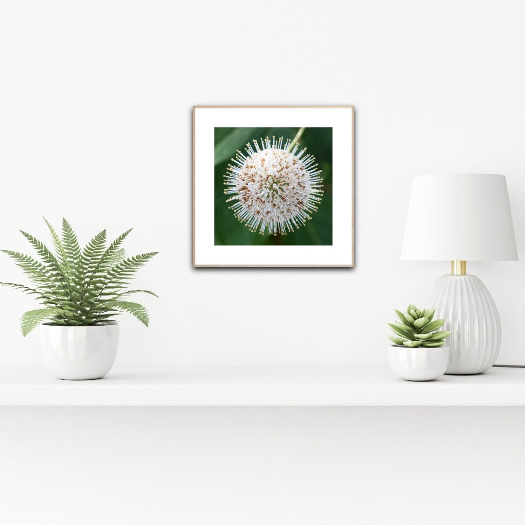 PH1097 staged insituartroom.jpg