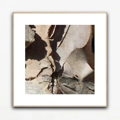 PH1115 framed insituartroom.jpg