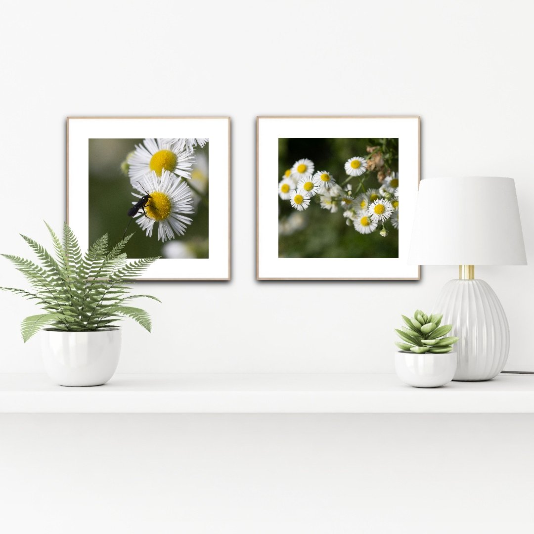 PH1093 and PH1094 staged insituartroom.jpg