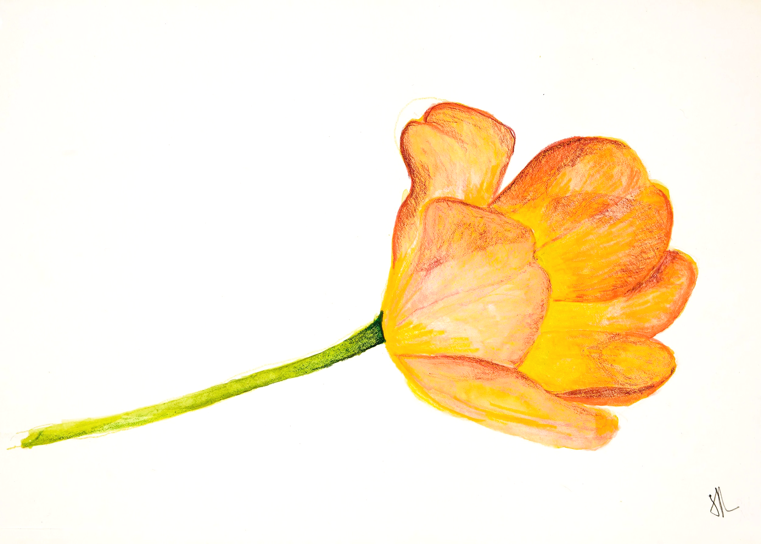 A watercolor painting of a single flower with orange and yellow petals and a green stem, on a white background.