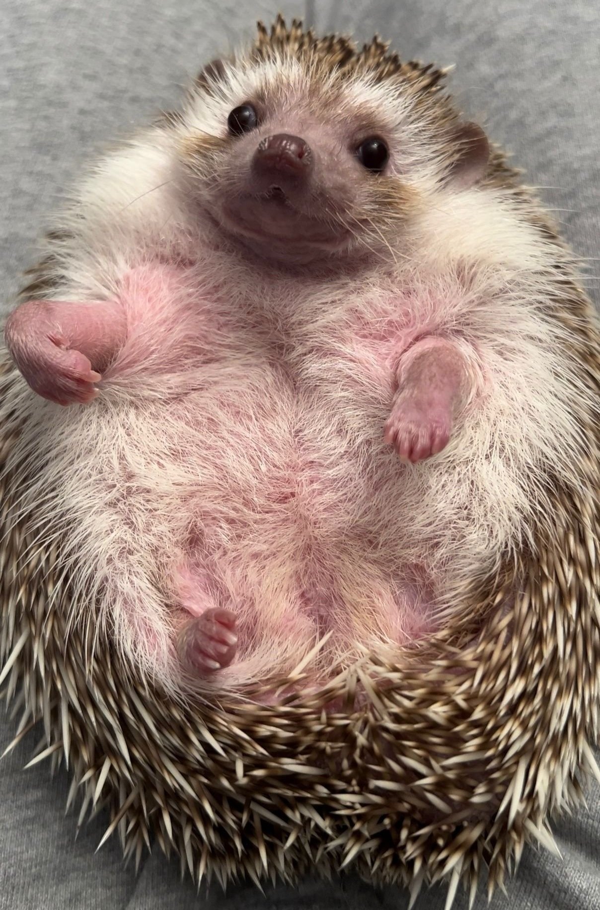 Maggie