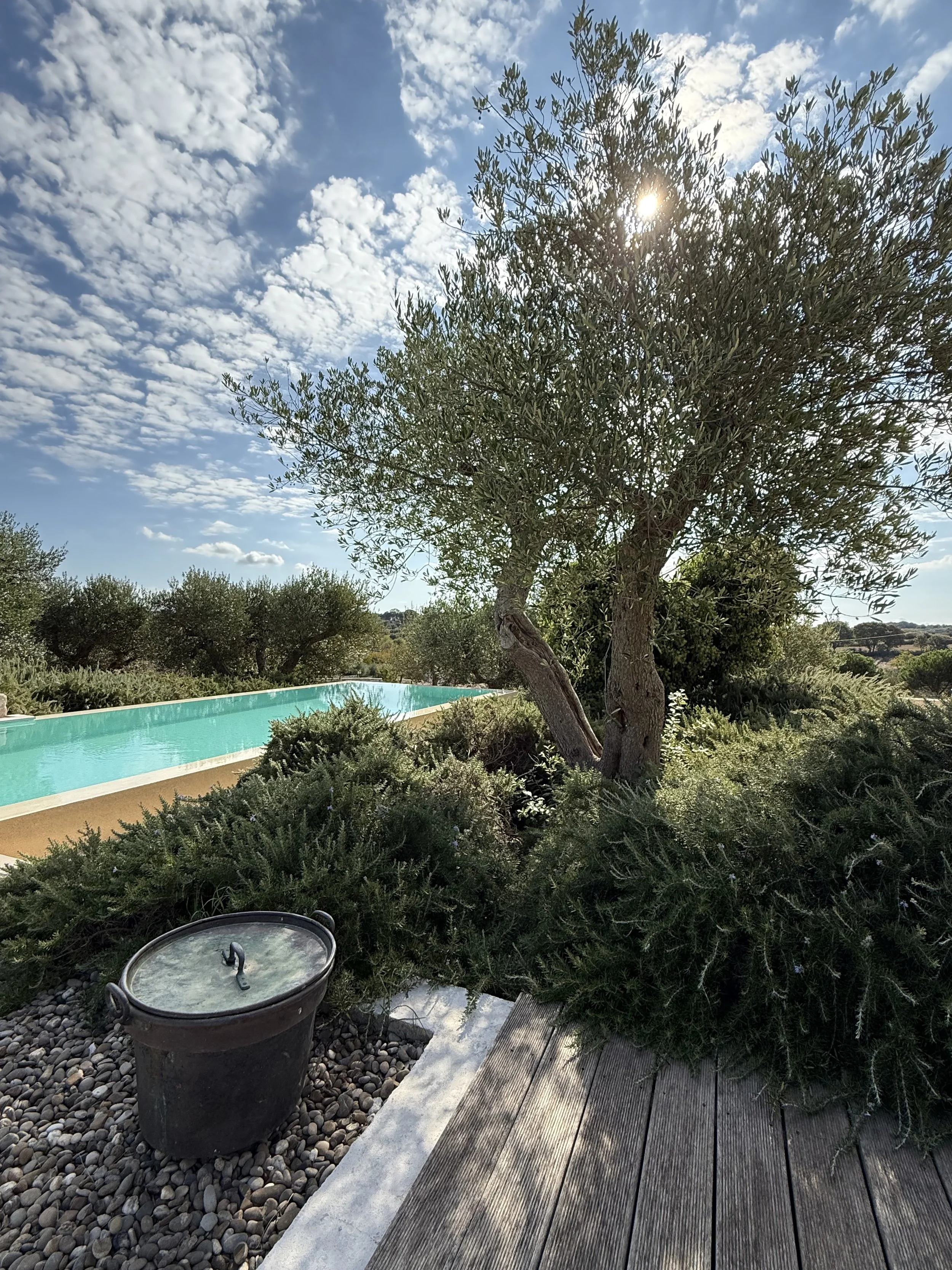 Trullo Pic 10.jpg