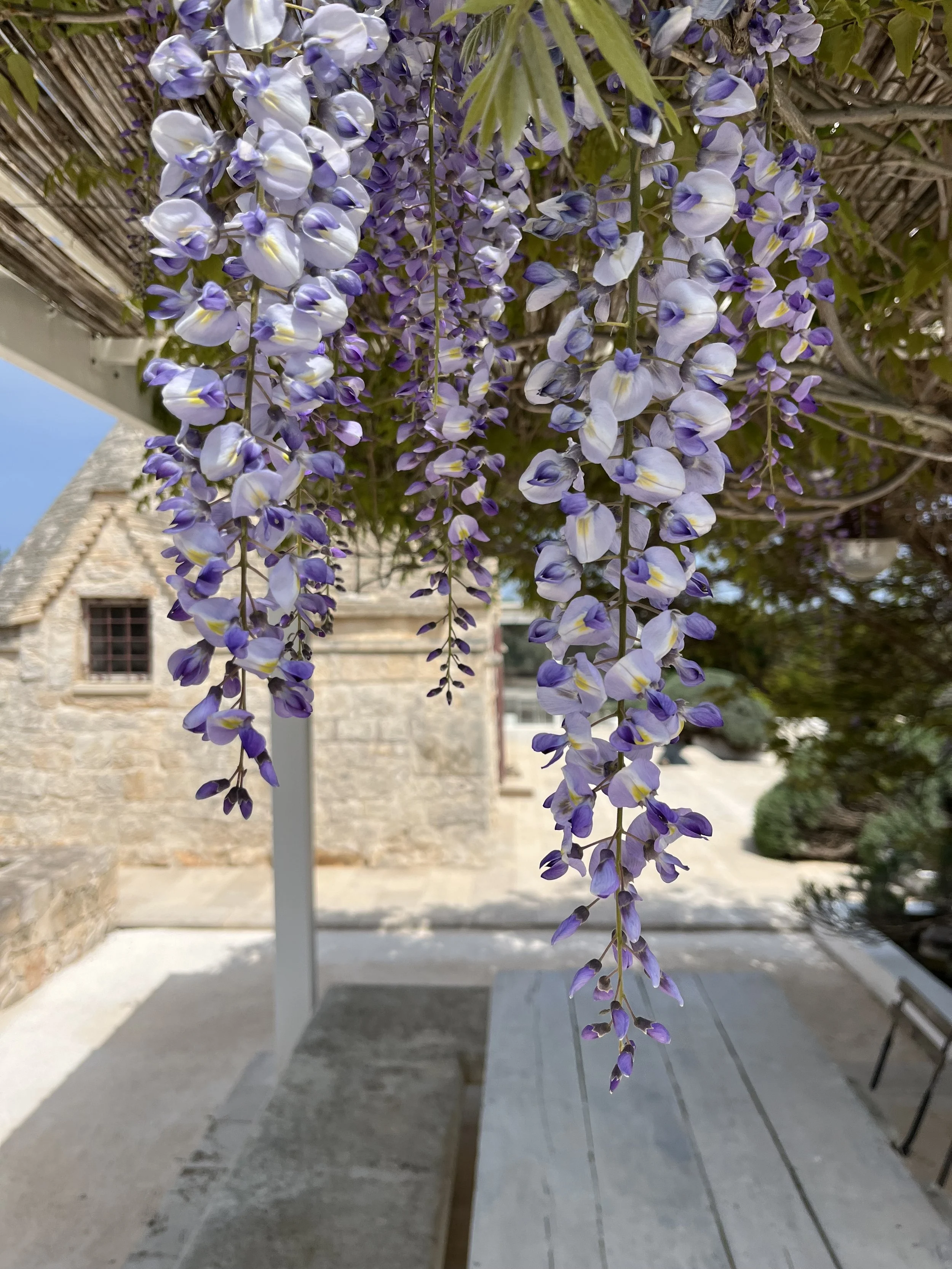 Trullo Piccolo lifestyle 4.jpg