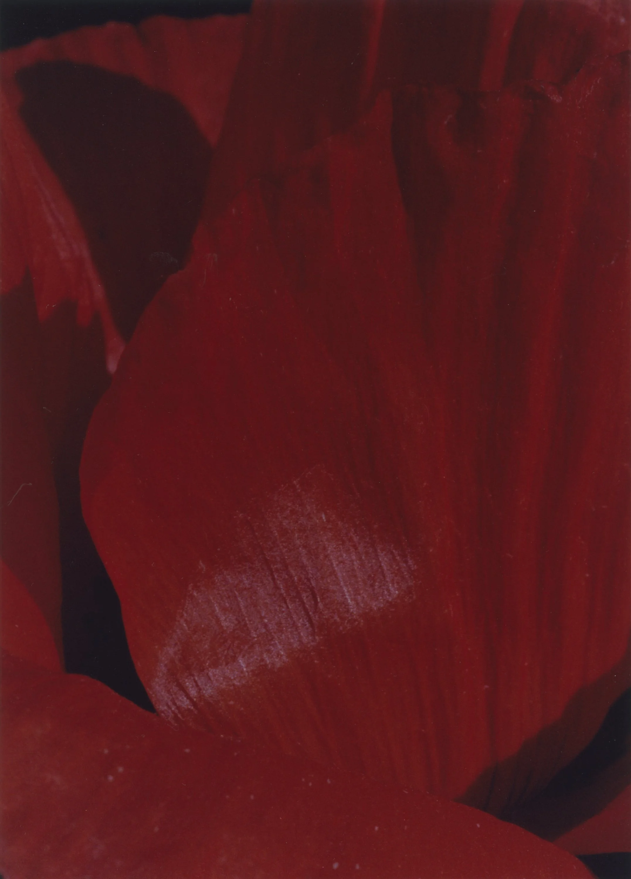 eab (11) 1.jpg