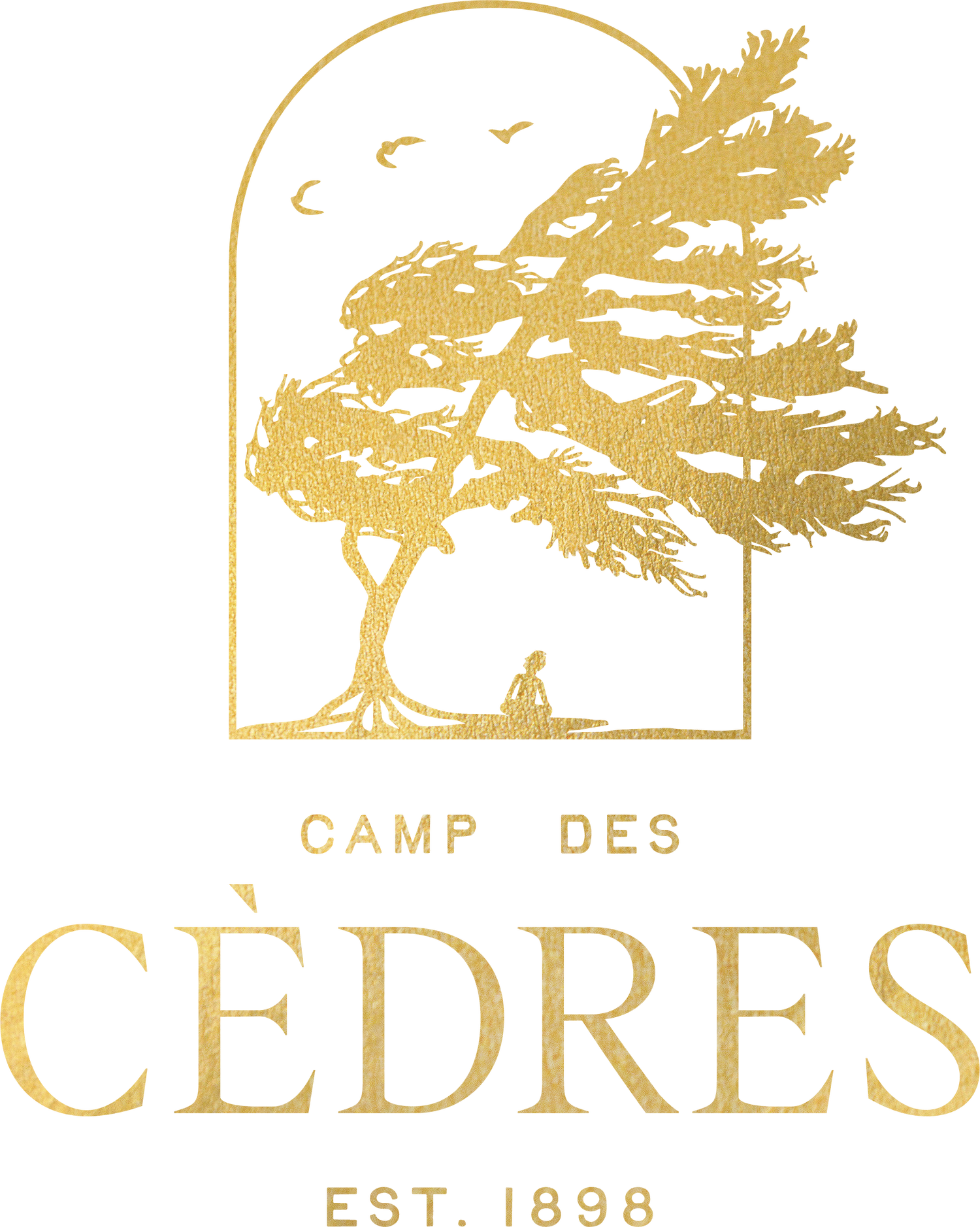 Camp des cèdres