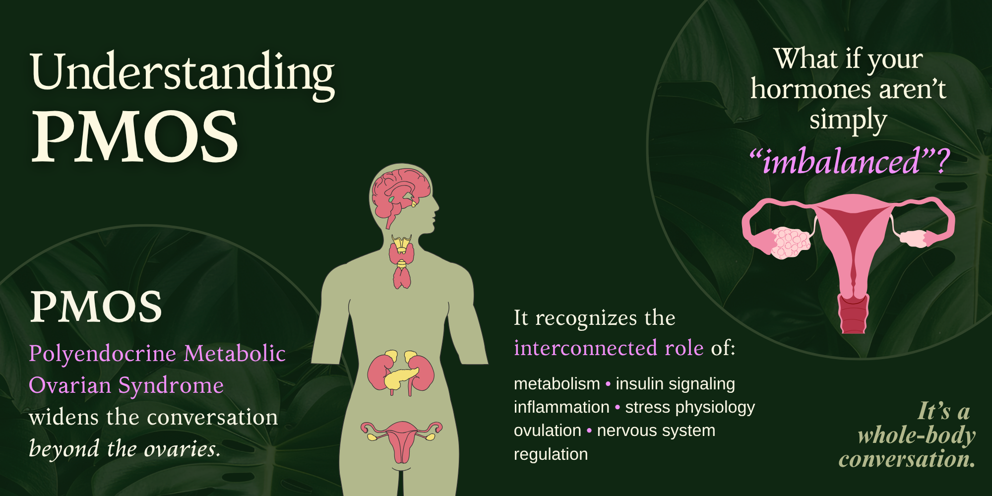 Understanding PMOS: Polyendocrine Metabolic Ovarian Syndrome