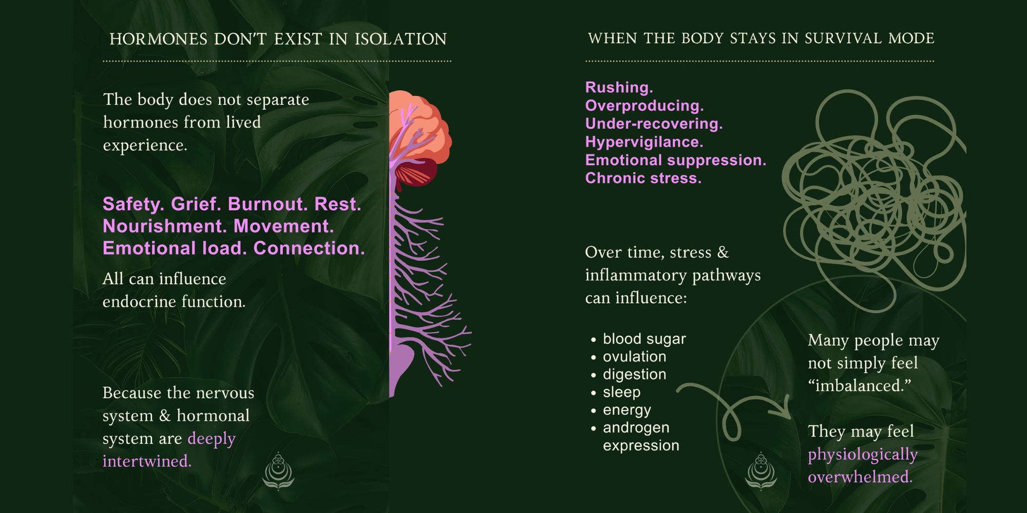 Hormones Don't Exist in Isolation and when the body stays in survival mode infographic