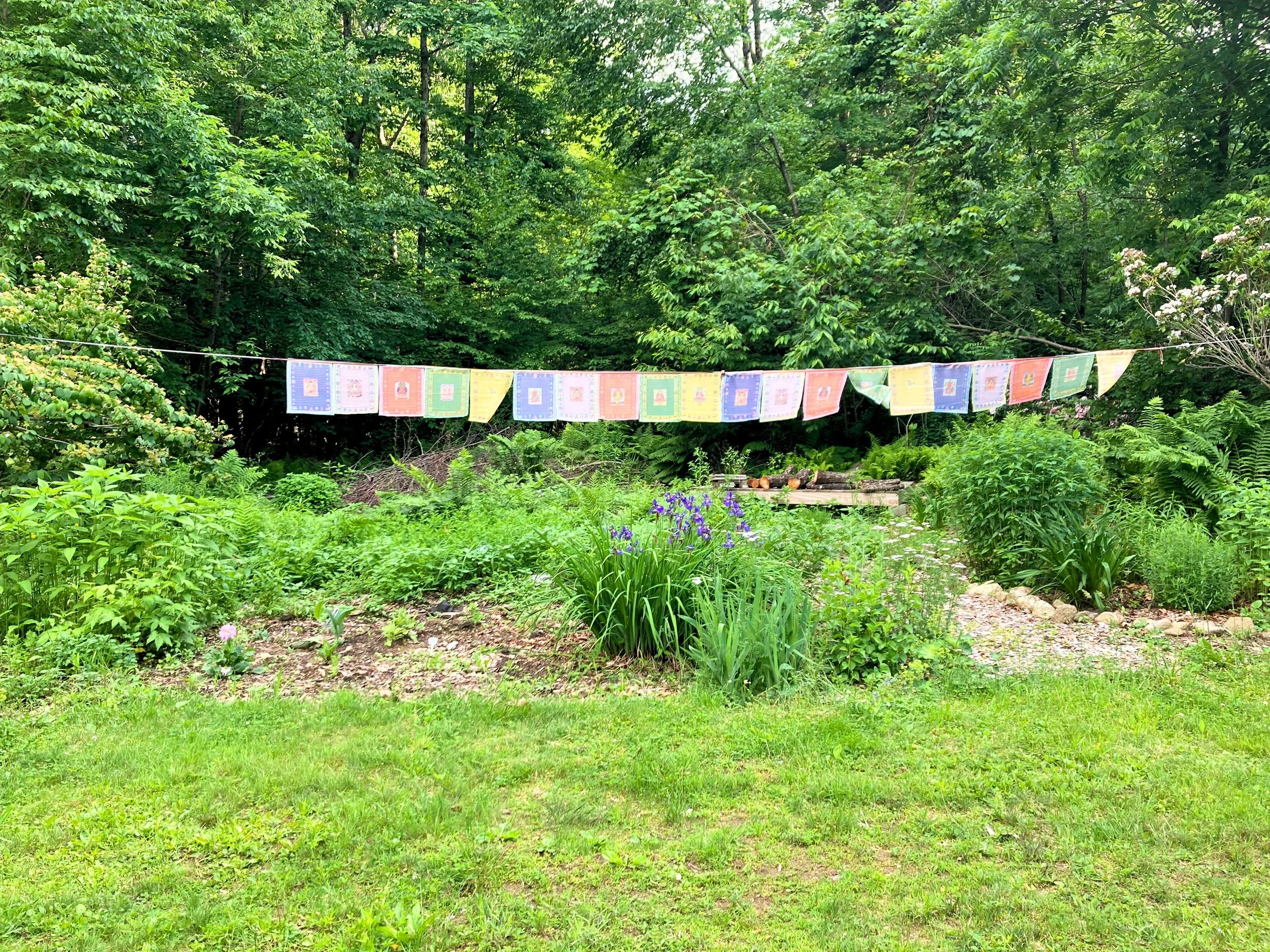 Colorful prayer flags hanging in a garden surrounded by lush greenery and trees.