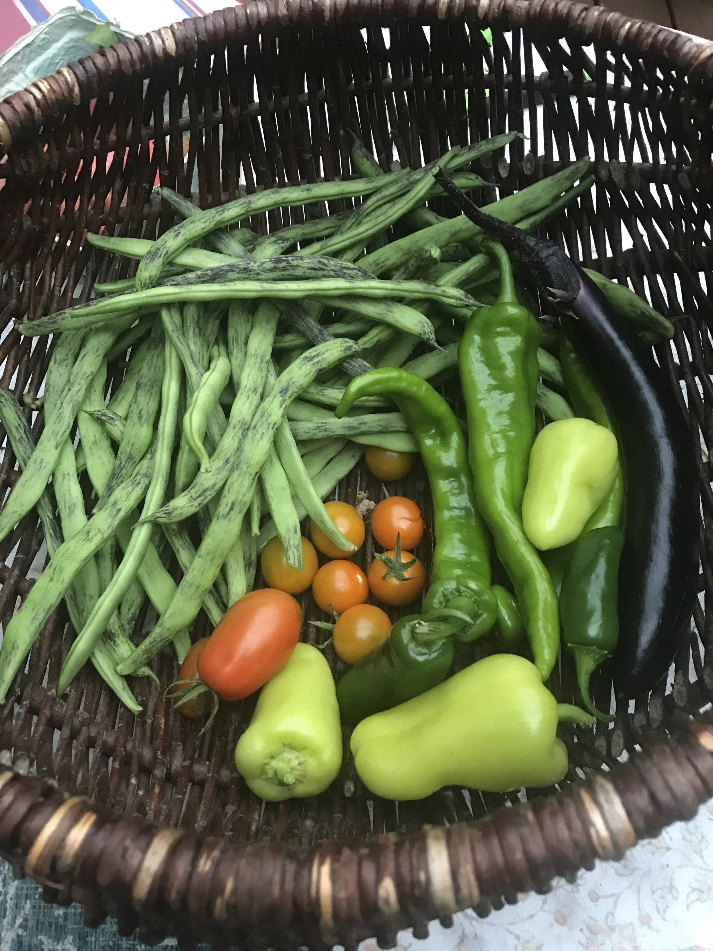 A basket filled with fresh vegetables including green beans, cherry tomatoes, green and yellow peppers, and two eggplants.
